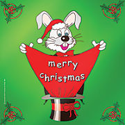 Merry Christmas Silk 18"
