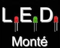 L.E.D MONTE -The Electronic Three Light