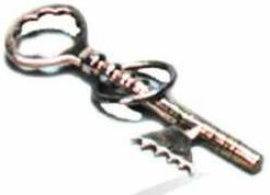 Master Key - Key and Ring Mystery