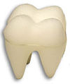Sponge Tooth